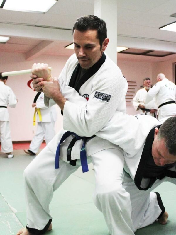 Understanding Hapkido Rank Progression Evoke Martial Arts & Kickboxing
